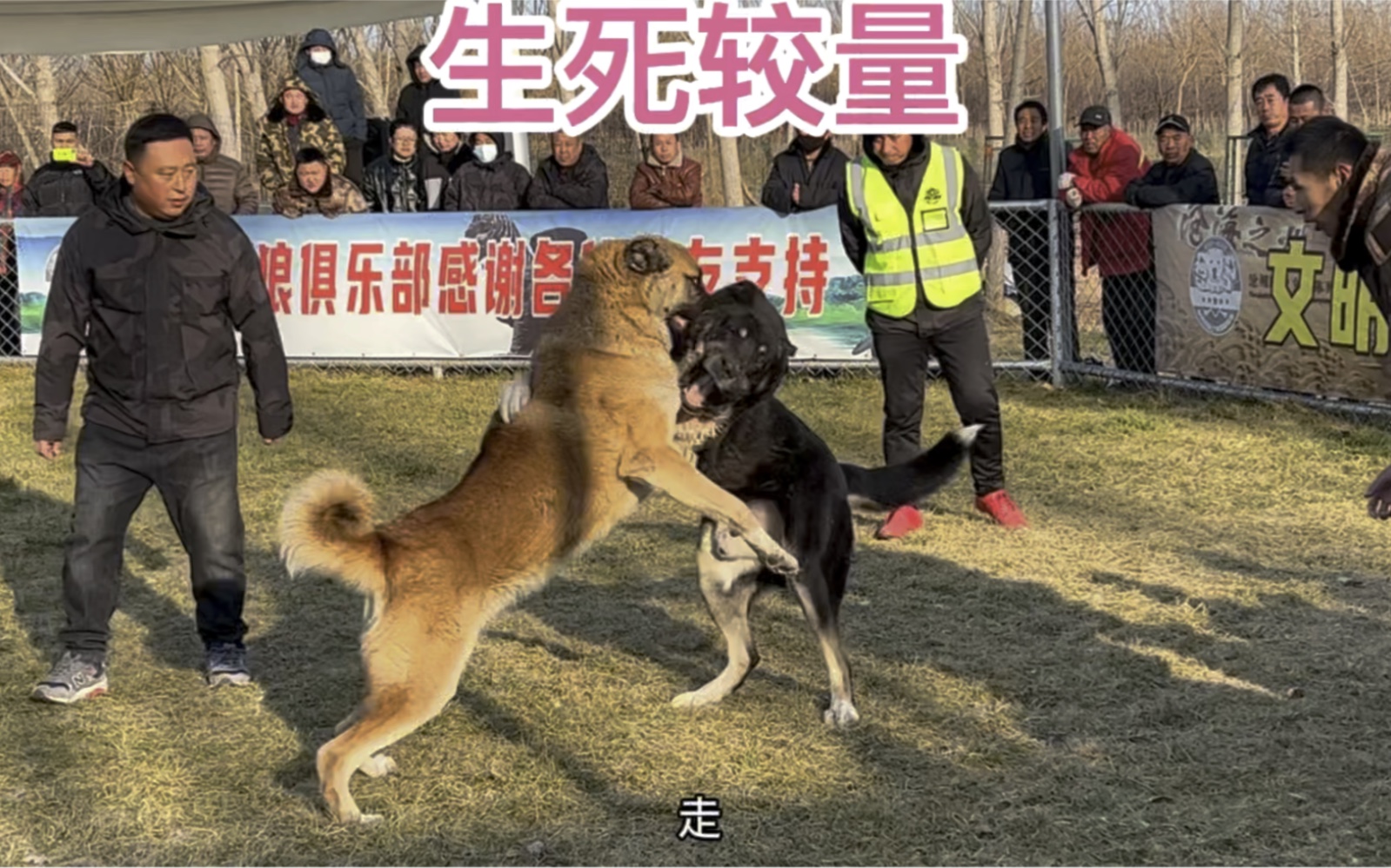 伊斯坦布尔球队实力碾压对手