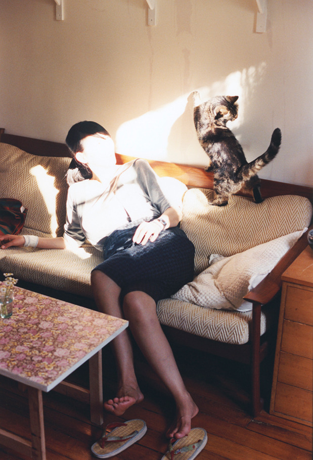 极速与鏖战，F1年度争冠焦点战与篮网步行者对决的激情交响