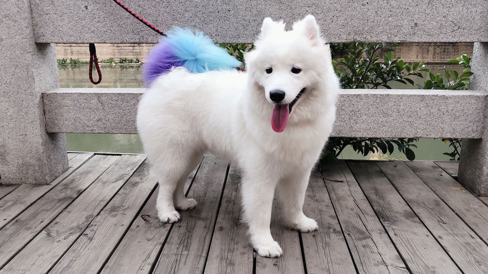 字母哥主宰关键战！广厦力克浙江取重要胜利