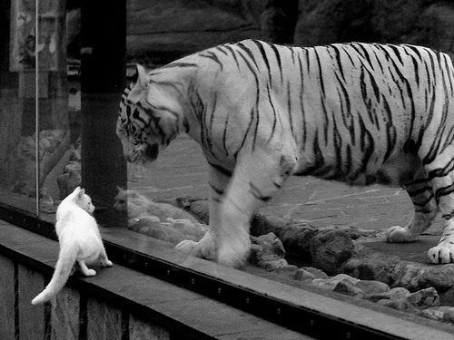 山西队掀翻黄蜂!霍勒迪末节19分上演关键先生救赎之战